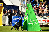 Kaspar vom Barbatus