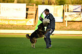 Perro von der schwarzen Natter