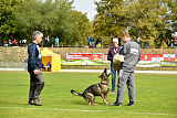 Freya vom Dahlhauser Schloßpark