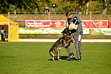 Amy von den goldenen Lorbeeren