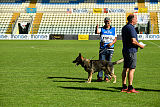 Galax de Jardines del Real