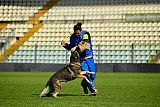 Galax de Jardines del Real