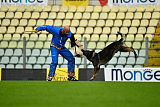 Derby vom Körbeltal