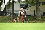 Mücke von Thekla