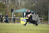 Rocco Radinie