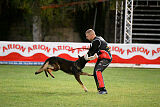 Dingo
