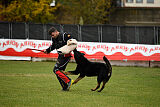 Airon von der Nilo World