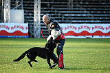 T-Lothar vom Hause Meraner