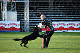 T-Lothar vom Hause Meraner