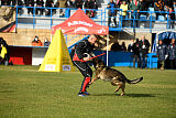 Eddy vom Isarland