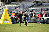 Eddy vom Isarland
