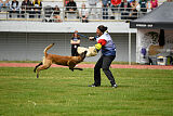 Omer de Hellehond