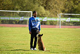 Bomra vom Giannioti Sports Dog