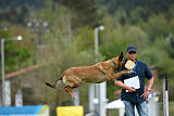 Chicka Force Canina