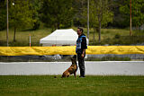 Chicka Force Canina