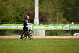 Chicka Force Canina