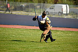 Chicka Force Canina