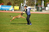 Chicka Force Canina