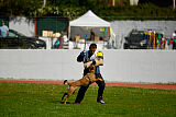 Chicka Force Canina