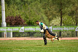 G'Dracarys Force Canina